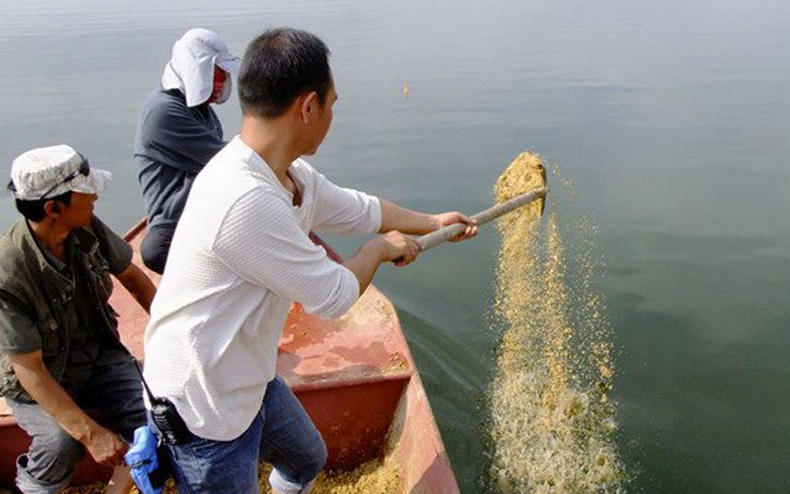 钓鱼最好的压线方法图解,民间钓鱼钓法大全