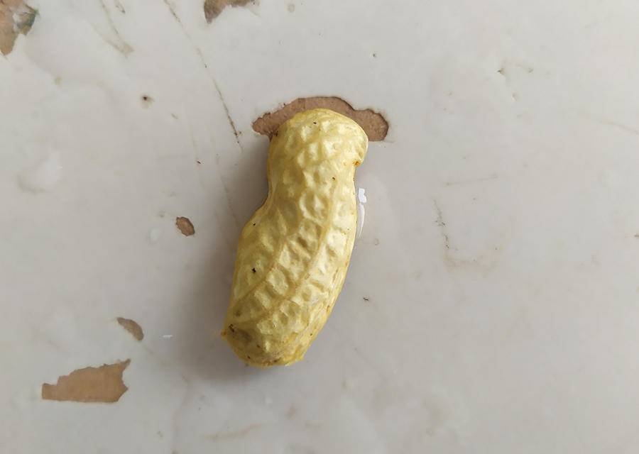 同样是电动牙刷，凭什么它可以卖上千块