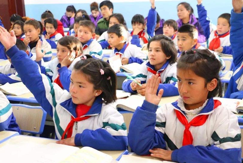 沈阳实力最强的小学,沈阳各区学区实力排行榜