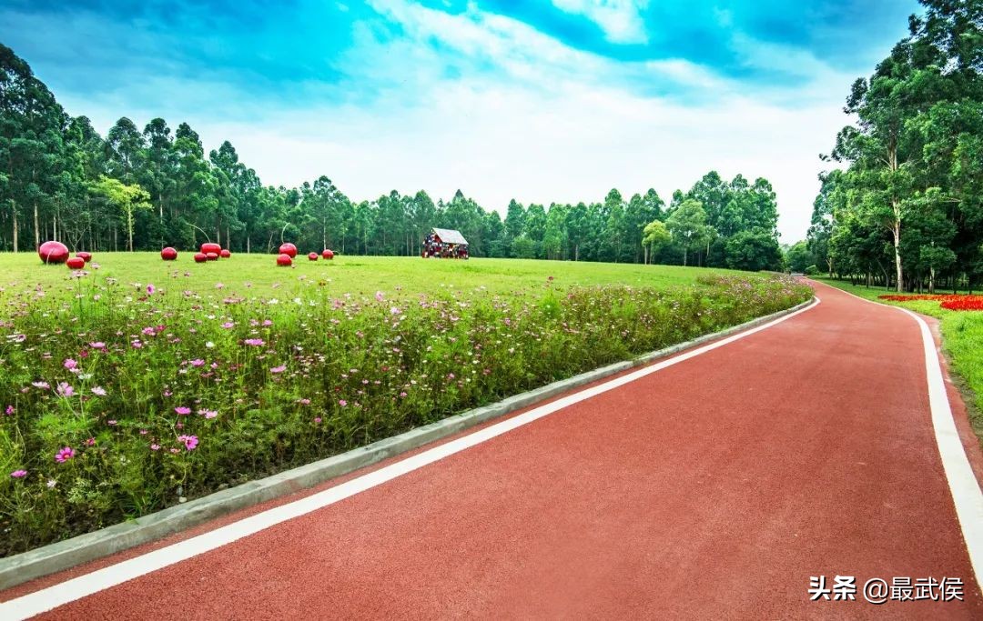 侃名联、问诸葛，海外媒体眼中的武侯祠是怎样的？