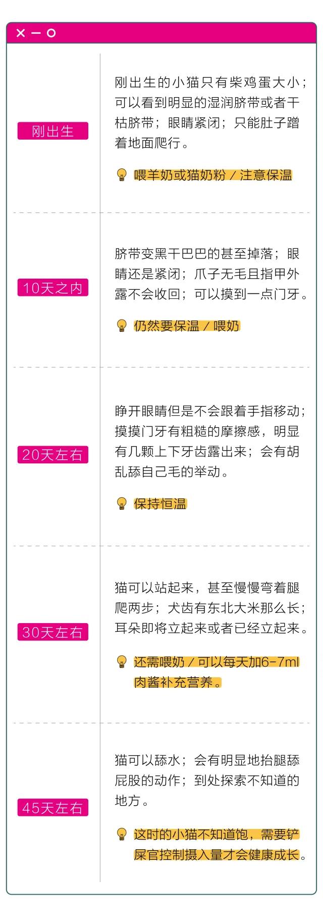 猫咪太小怎么喂,猫咪太小怎么用猫砂