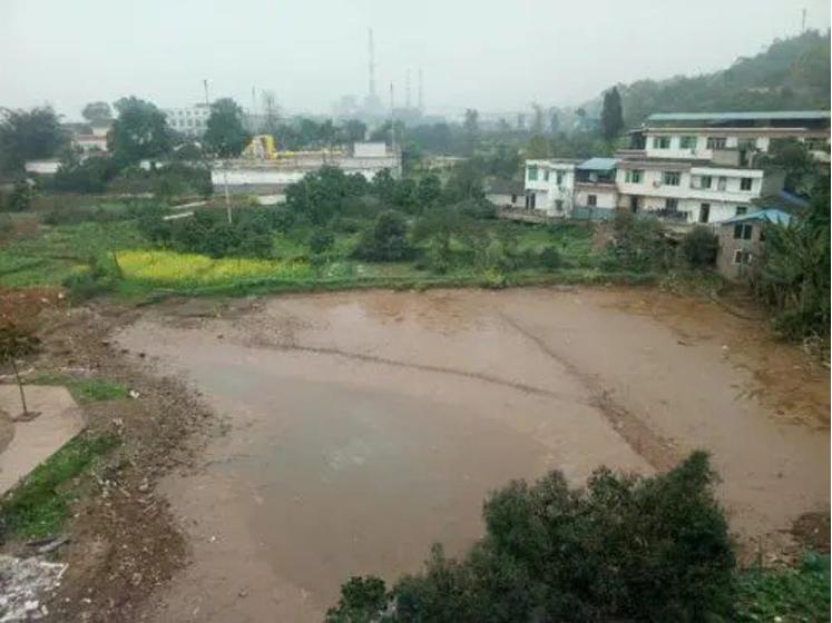 曹晓洁上的是什么专科学校,最牛专科生曹晓洁