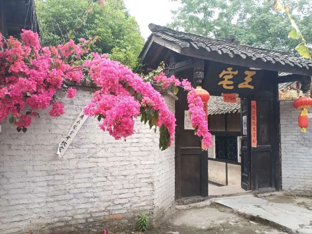 又是人间四月天踏青赏花正当时,正是人间芳菲时