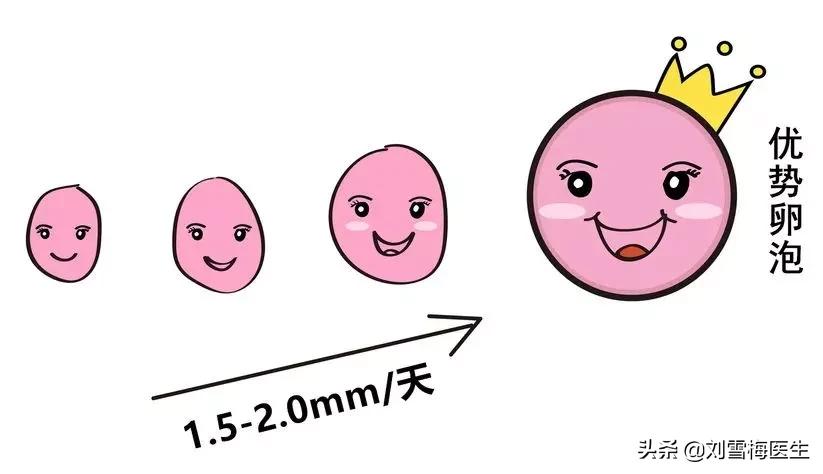 怎么可以取得卵子,如何获得卵子