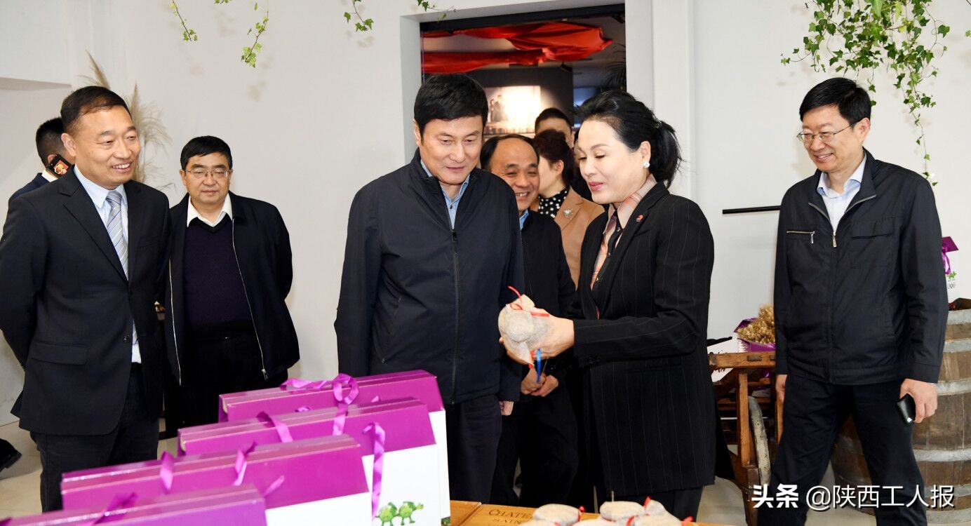 乡村振兴战略规划康养,乡村振兴签约项目推进会