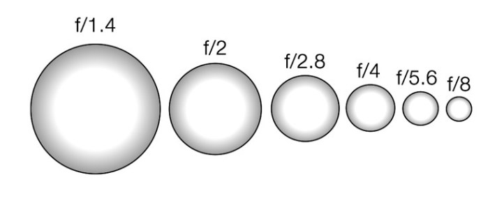 单反相机的基本原理和构成,单反相机使用小常识