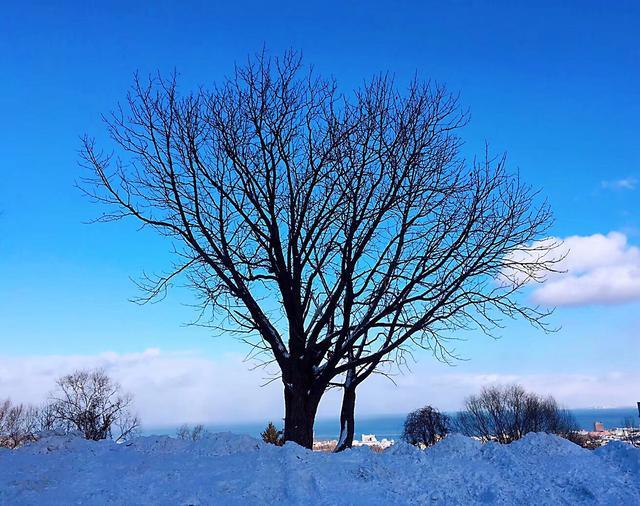 日本大阪城攻略,大阪日本攻略