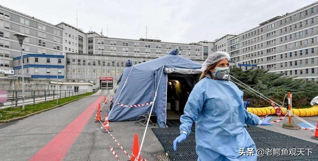 意大利教授尸检早期病历结果,意大利要去美国开棺检尸吗