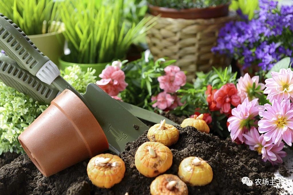 一千元小本创业农村,100个农村创业项目赚钱