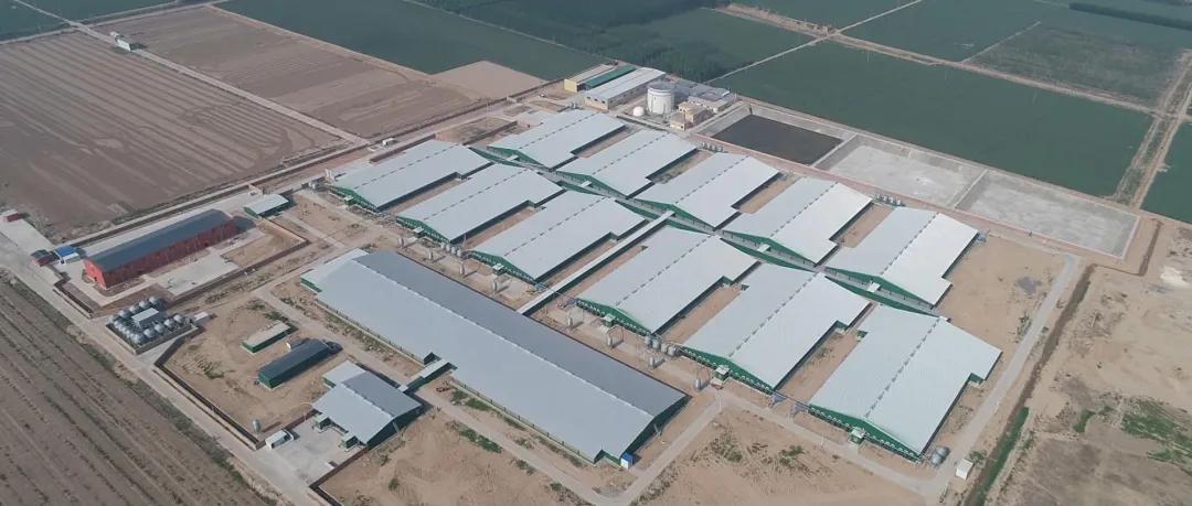 没有无缘无故的爱有付出才有回报,没有无缘无故的爱秦海璐