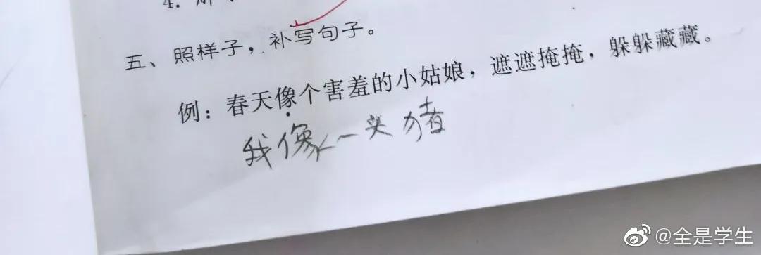 父母辅导孩子作业哪个好,父母谁辅导作业更好