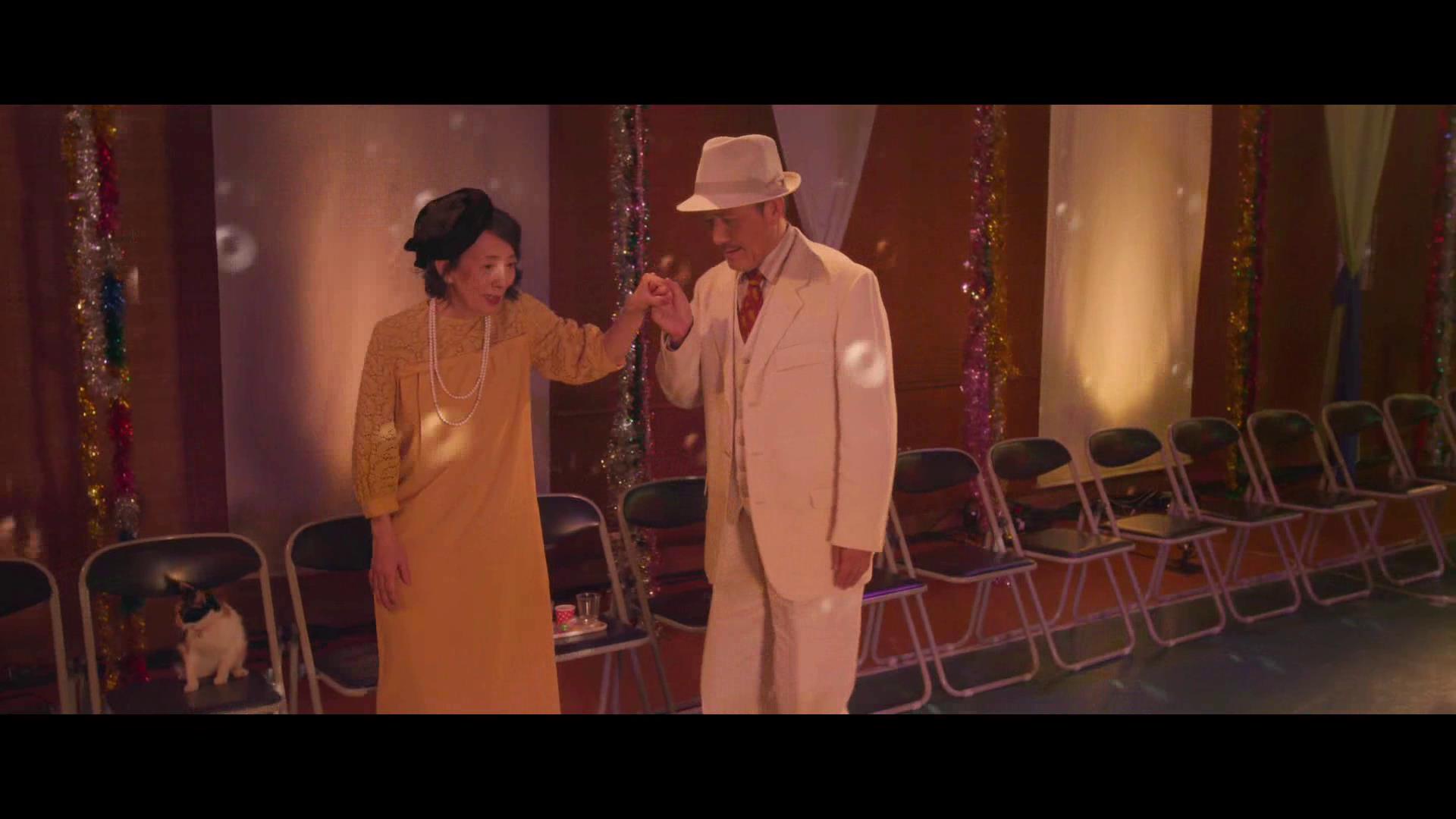 十部顶级治愈系猫片,十部顶级治愈猫的电影