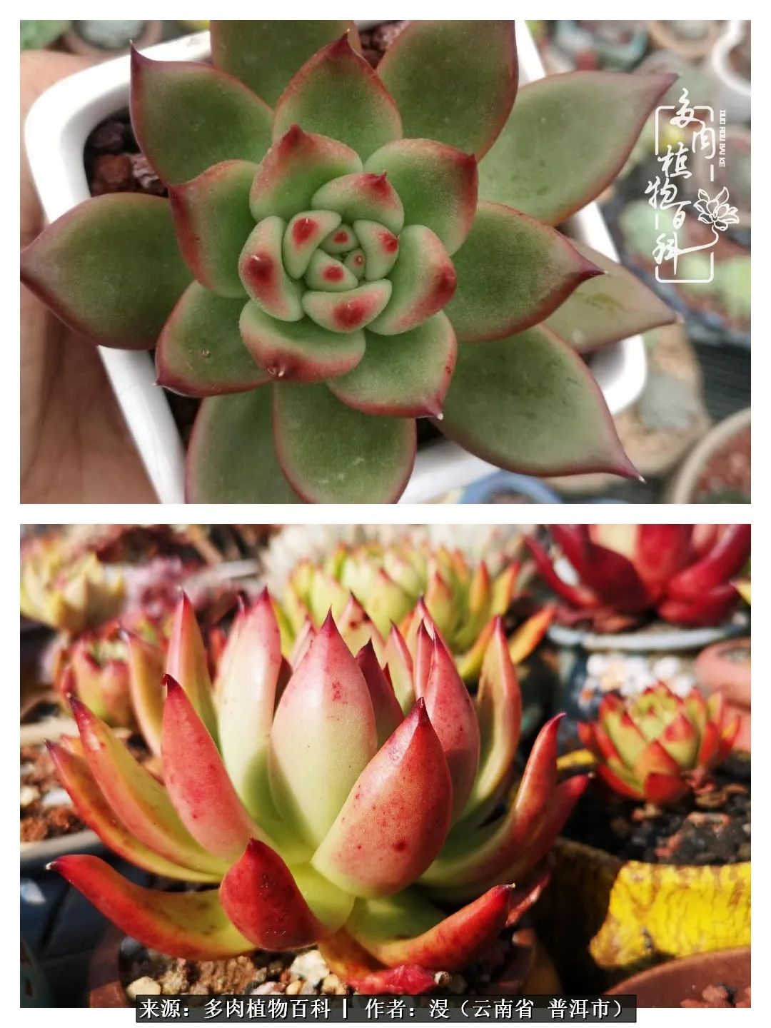 风过留痕讲的啥,风过留痕朗诵