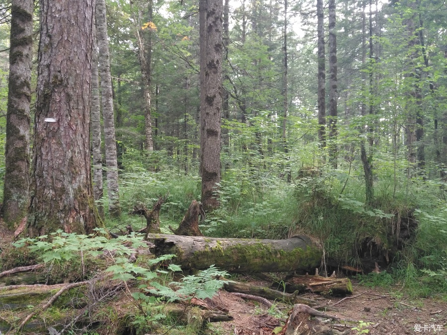 自驾囧途时刻,自驾游闯关东视频