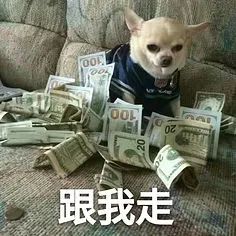 去欧洲买什么样的包包最划算,欧洲奢侈品包包什么国家最便宜