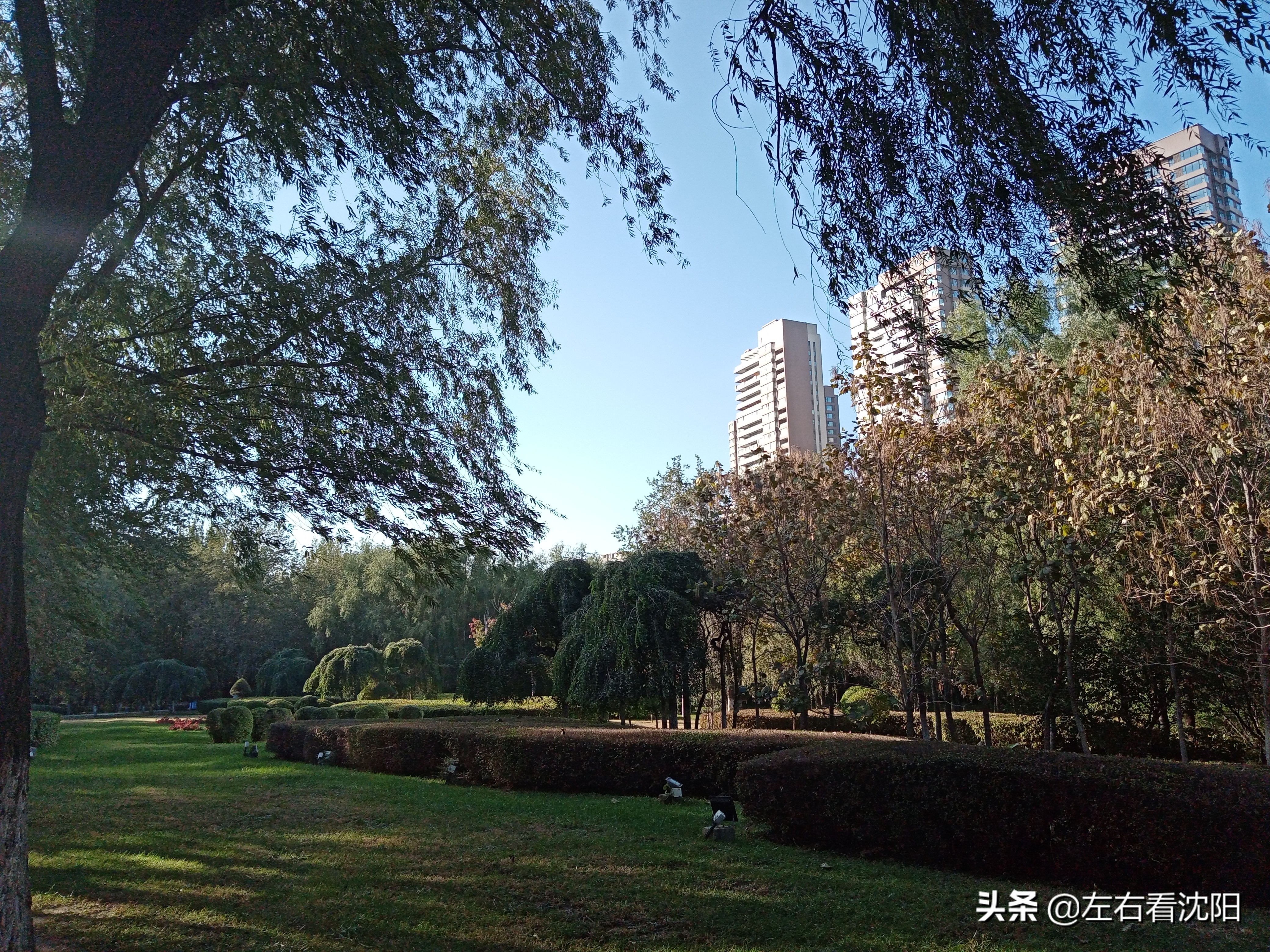 沈阳沈水湾公园看日出,沈阳浑河看海的地方