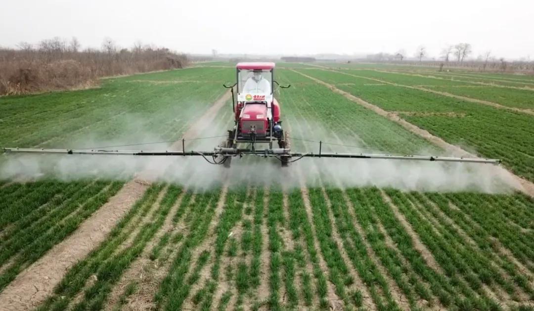 重磅｜金丰公社入选《中国优秀品牌抗疫案例》