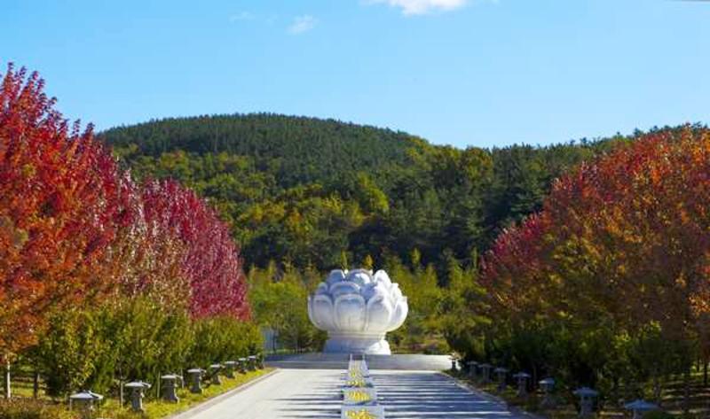 辽宁大连推荐旅游景点,辽宁大连旅游必去景点