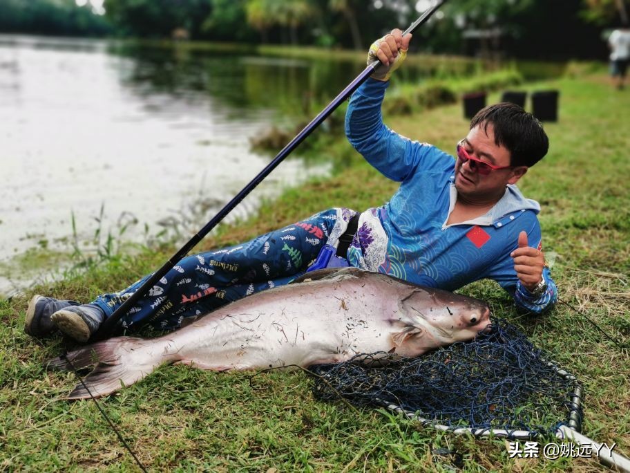 四海钓鱼韩国钓鱼纪录片,四海钓鱼南澳岛