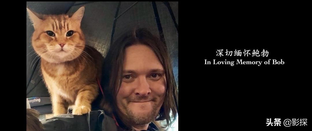 绁ㄦ埧榛戦┈鐩樼偣,绁ㄦ埧榛戦┈鍗囩骇鍥炲綊