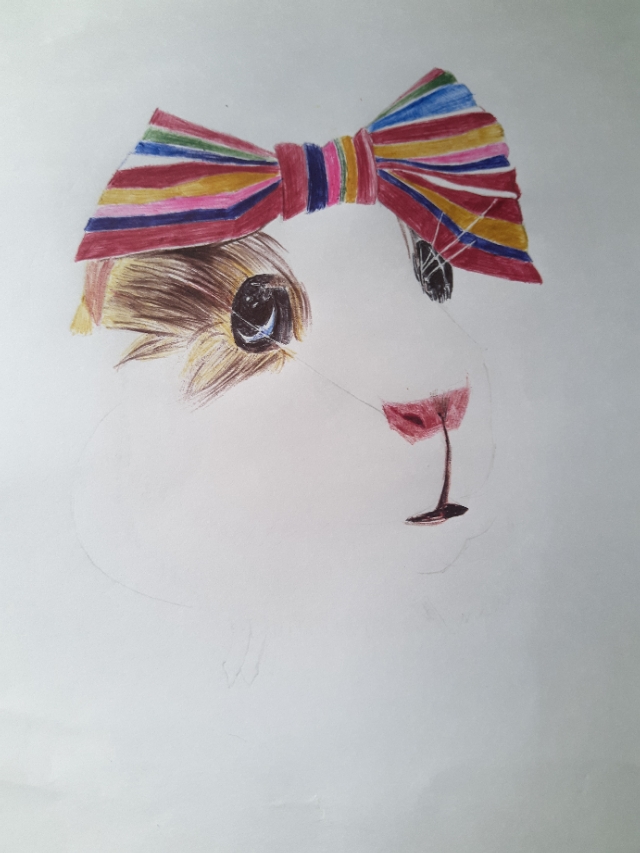 仓鼠食盆简笔画,仓鼠简笔画团子