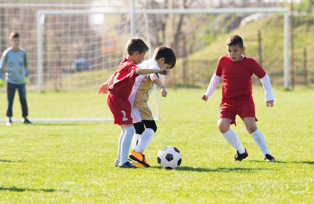 室内拍球训练儿童游戏,精细动作训练游戏3-6岁掷球