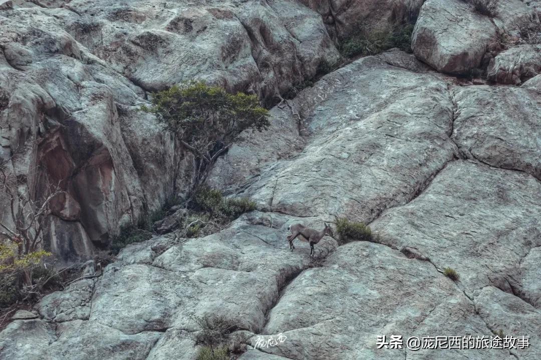 宁夏最值得去的景区,宁夏值不值得去的地方