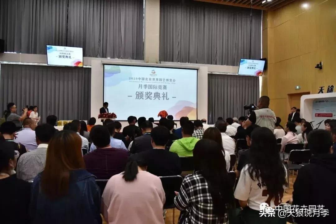 有人去过世园会吗,去过世园会好不好玩