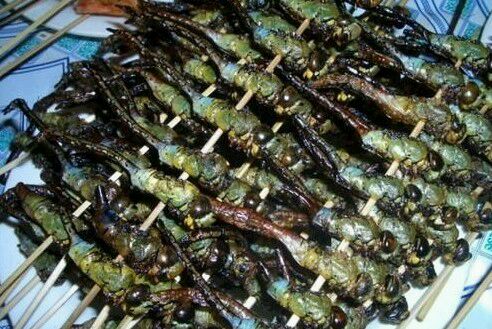 带大家了解一下昆虫美食,国外很火的4种美食昆虫你敢吃吗