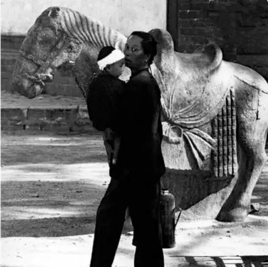 洛阳古城历史照片,历史的记忆完整视频