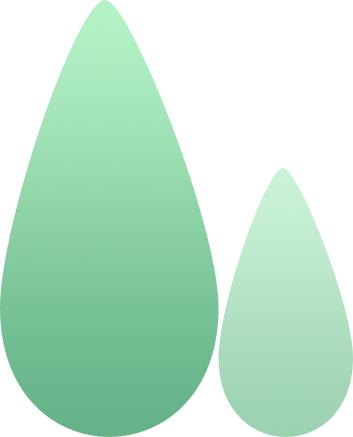 下雨天如何灭水蚁群,水蚁克星