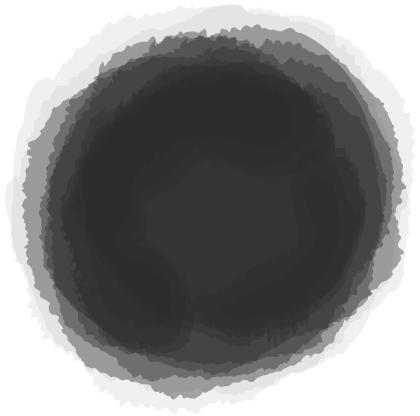 椴佺菠椋庡懗缇庨,椴佺菠缇庨