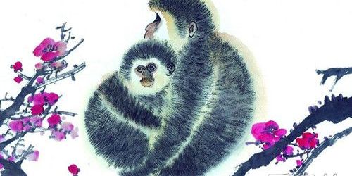 属猴人2019年害太岁是什么意思