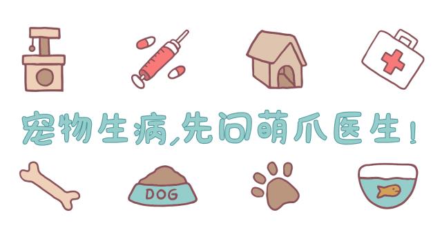 怎么处理小野猫,遇见小野猫怎么才能把它引过来呢