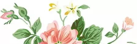 青汁辟谣视频,青汁真的减肥吗