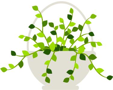 阳春三月暖植树绿化正当时,阳春三月草长莺飞栽几株树