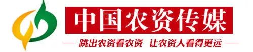 金丰公社社员节中央新闻,金丰公社社员节