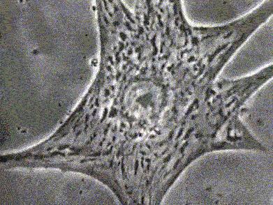 带你声临其境探索宇宙,带你探索维度空间