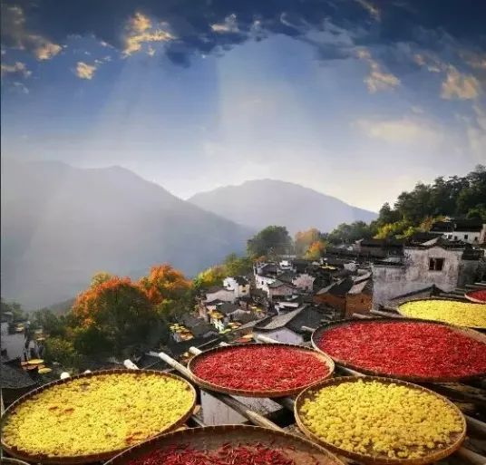 重阳节的过节故事,小时候重阳节的故事