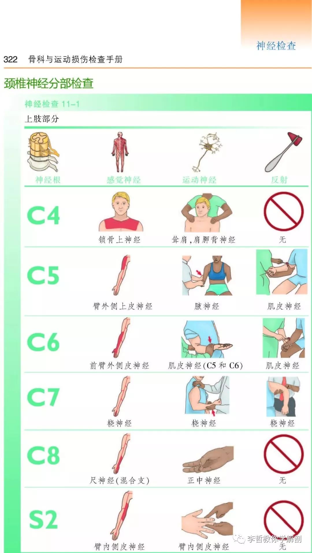 好书推荐｜《骨科与运动损伤检查手册》一本康复医生必须标配的书籍