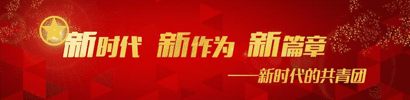 职为你来河南,职为你来完整版视频