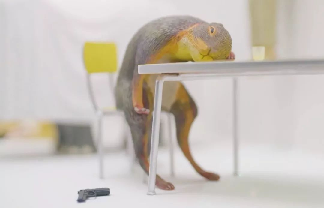 gucci宣传照,gucci展览原典