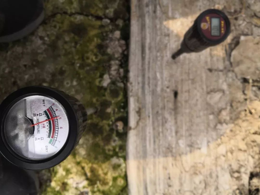 寿光最新发展消息,最近寿光怎么样了