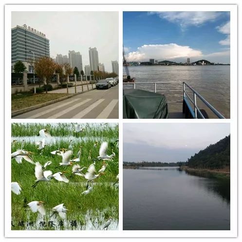 鐭抽椋庡厜鍥剧墖,鐭抽鍩庡競椋庡厜鑸媿