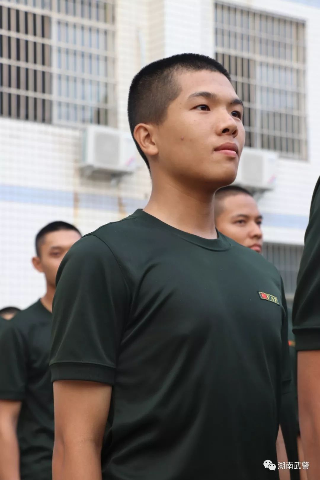 见字如面入伍家书,见字如面十五封信