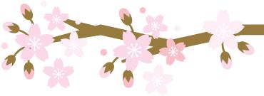 妇联考察交流妇女工作,市妇联赴联系村开展走访慰问活动