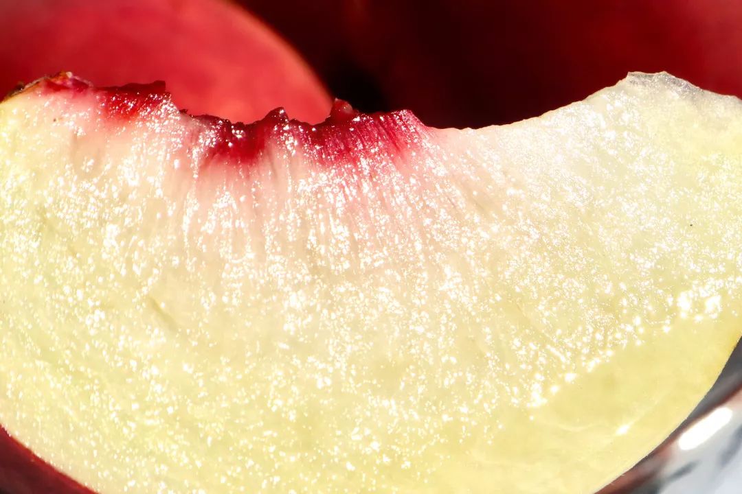 金秋红蜜桃打破吉尼斯世界纪录,金秋红蜜吉尼斯世界纪录