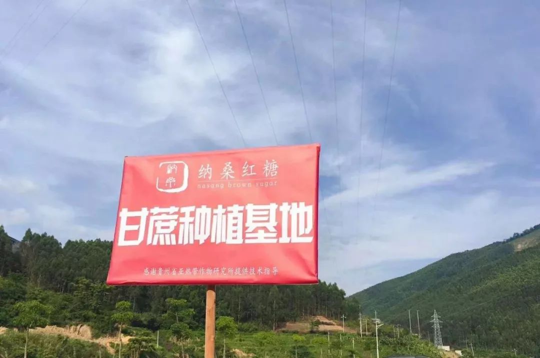 纳桑红糖双十一,纳桑新款