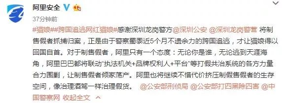 网红猫娘假货怎么处罚,网红猫娘落网