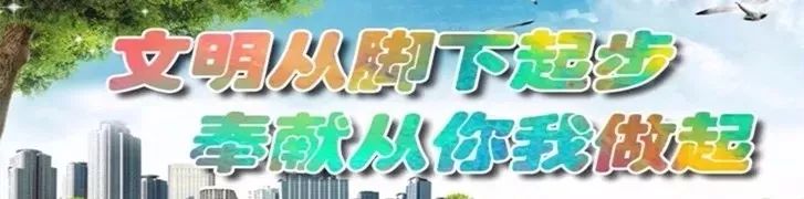 延吉街头鲜花被偷留下刺眼的“伤疤”